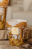 Baobab Sacred Trees Cocody