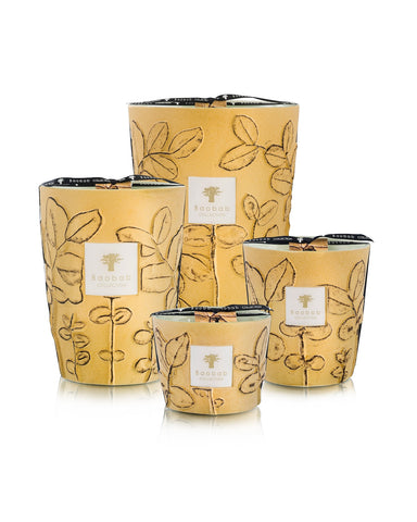 Baobab Folia Garrigue