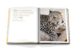 Arabian Leopard (Classic)