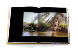Arabian Leopard (Classic)