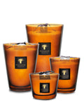 Baobab Les Prestigieuses Cuir de Russie