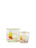 My First Baobab Saint-Tropez