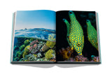 Red Sea, the Saudi coast