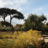 World's Best - 50 Gardens from Around the Globe