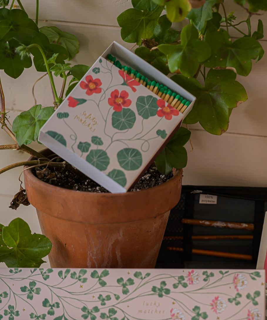 Nasturtium Matchbox