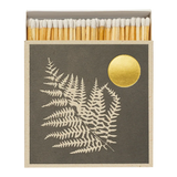 Fern Matches