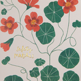 Nasturtium Matchbox