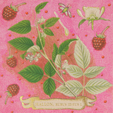 Rose Framboise Matches