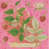 Rose Framboise Matches