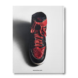Air Jordan