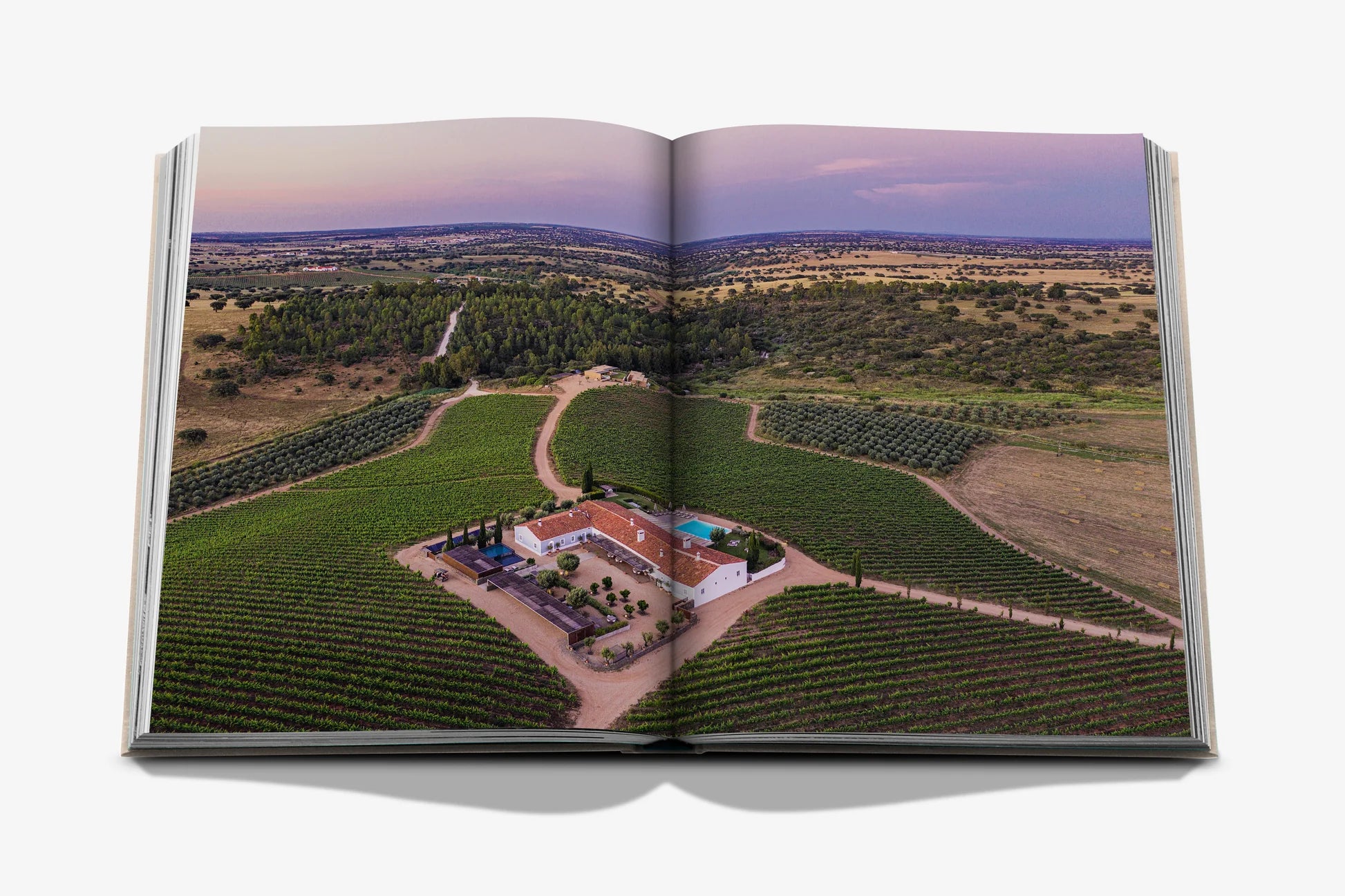Malhadinha: The Soul of Alentejo