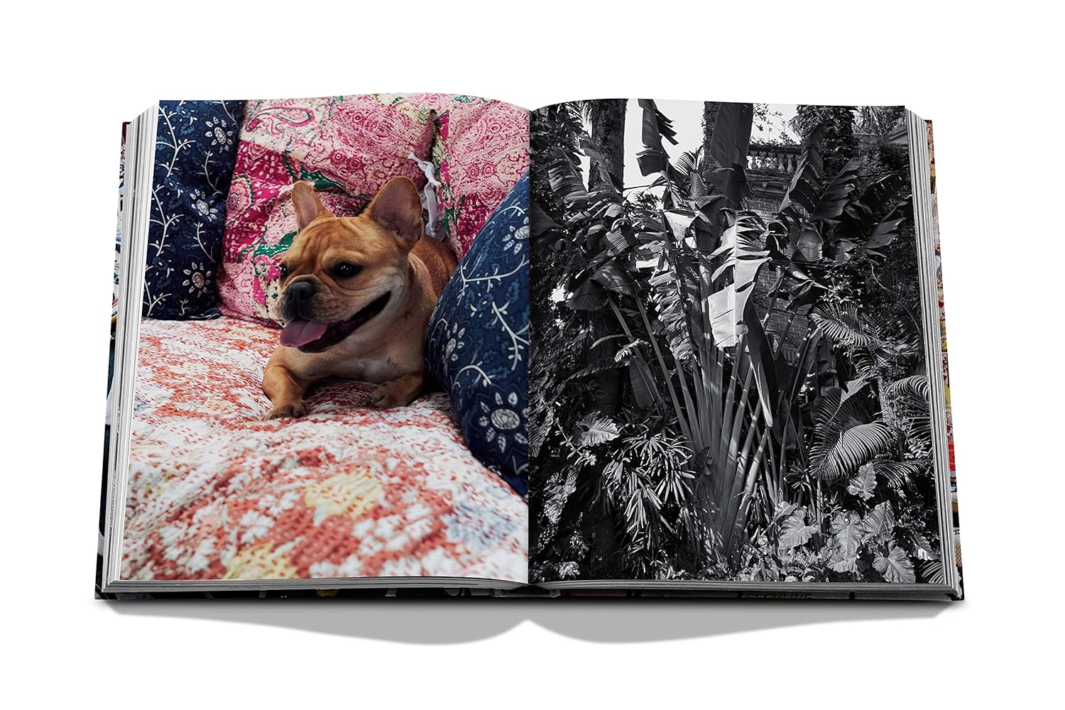 Maximalism by Sig Bergamin