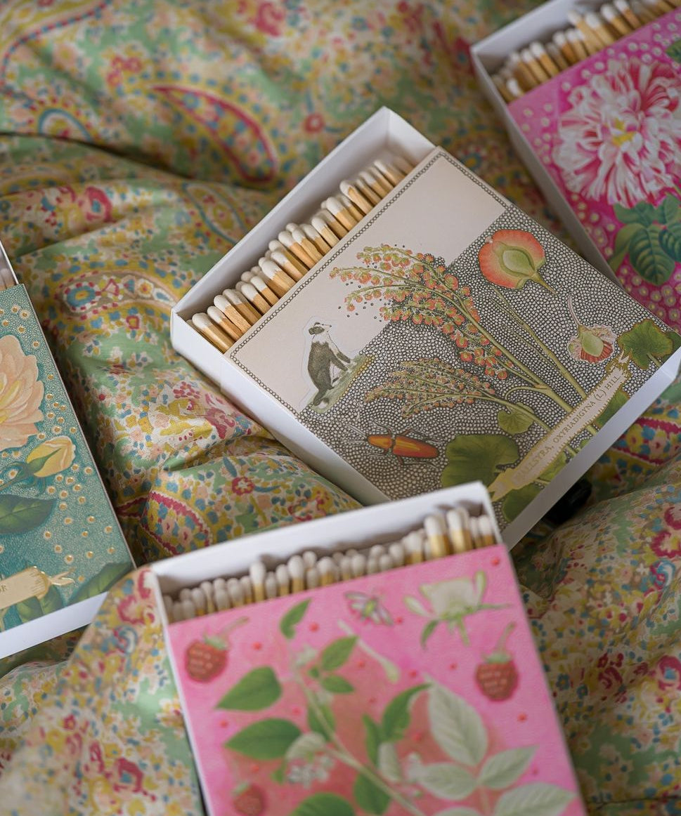 Chien Botanical Drawing Matches