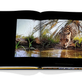 Arabian Leopard (Classic)