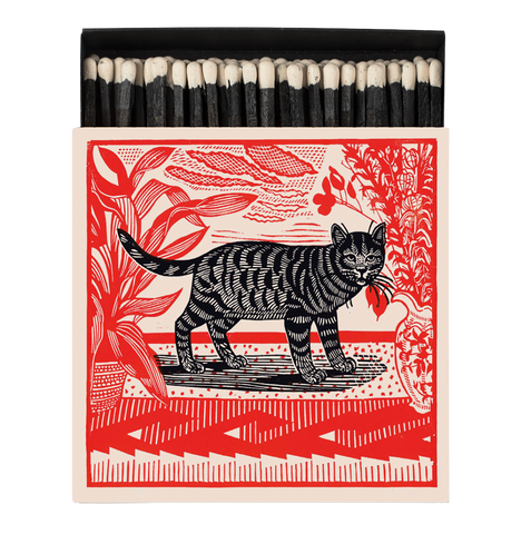 Sasha The Cat Matches