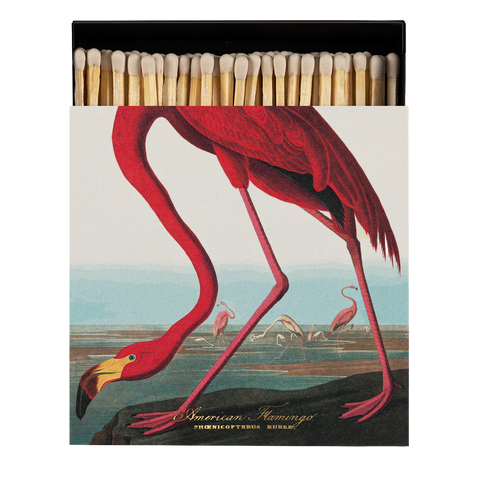 The American Flamingo by Audubon Matches
