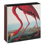 The American Flamingo by Audubon Matches