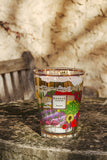 Baobab Provence