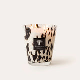 Baobab Black Pearls