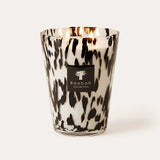 Baobab Black Pearls