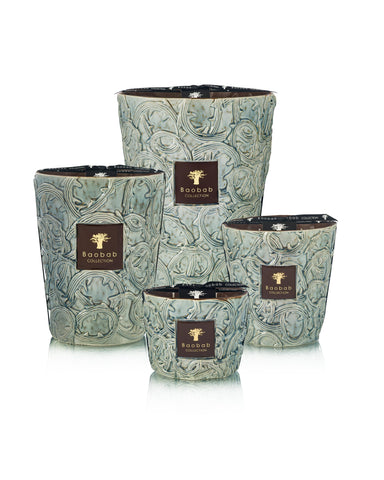 Baobab Brame Sylvanus