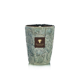 Baobab Brame Sylvanus