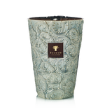 Baobab Brame Sylvanus