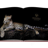Cartier Panthere