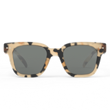 IZIPIZI משקפי שמש לילדים (גיל 7-11) ROAD Light Tortoise