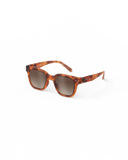 IZIPIZI X BONPOINT משקפי שמש ילדים ROAD (5-7 שנים) Glossy Havane