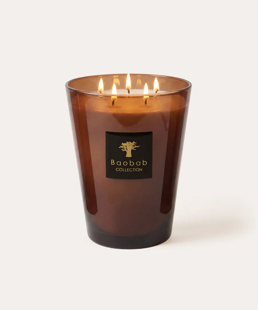 Baobab Les Prestigieuses Cuir de Russie