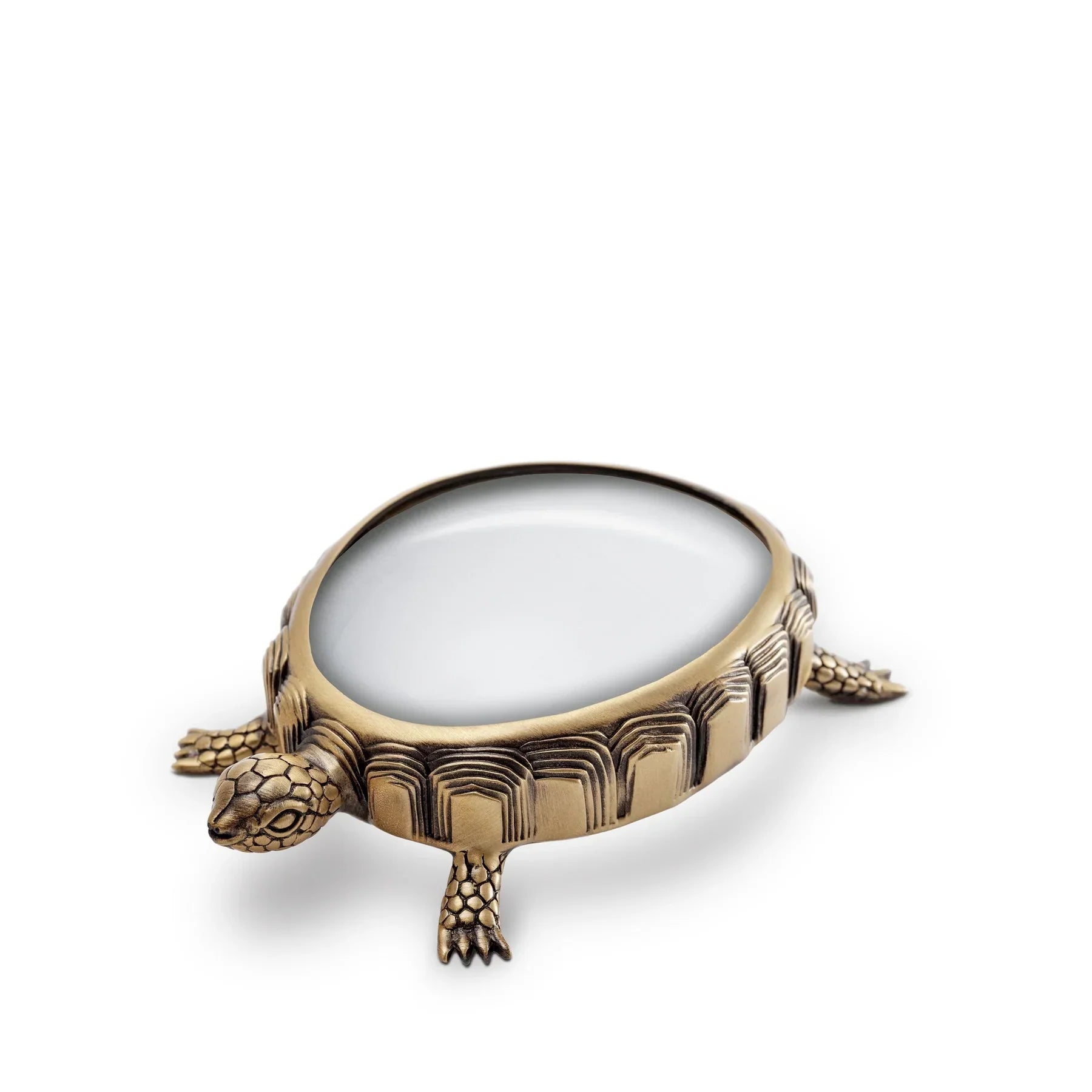 Turtle Magnifier (0.6 Kgs)
