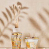 My First Baobab Gift Box Saint-Tropez