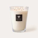 Baobab All Seasons Madagascar Vanilla