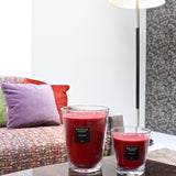 Baobab All Seasons Maasai Spirit