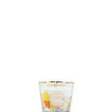 My First Baobab Saint-Tropez