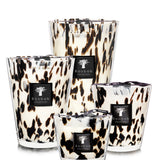 Baobab Black Pearls