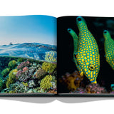 Red Sea, the Saudi coast