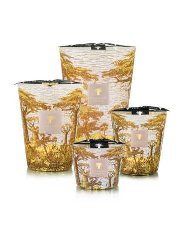 Baobab Sacred Trees Bounkani