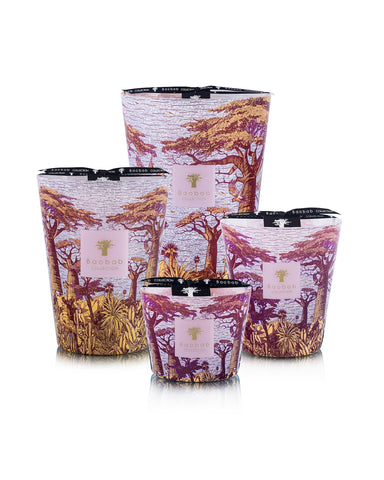 Baobab Sacred Trees Massasso