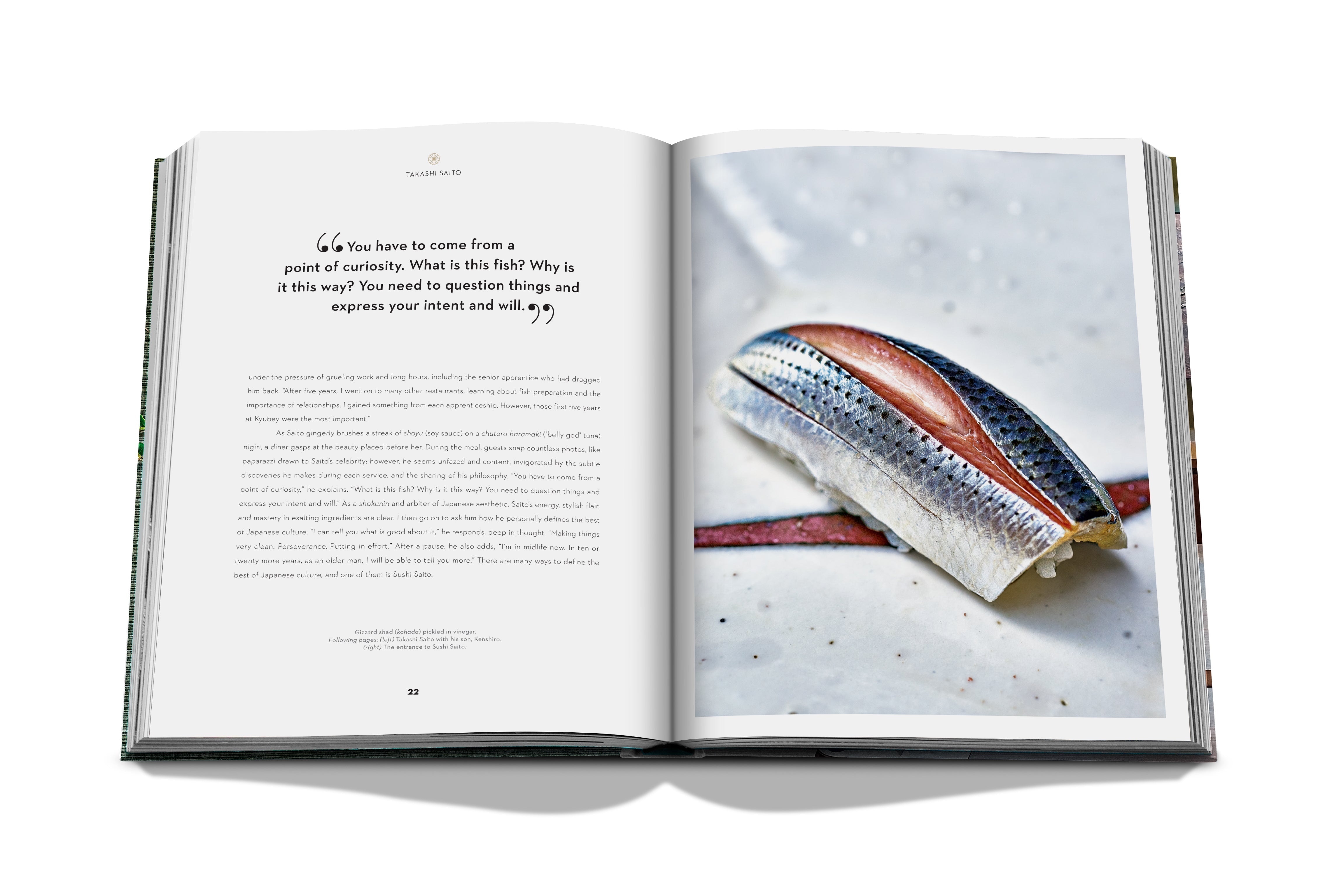 Sushi Shokunin: Japan's Culinary Masters