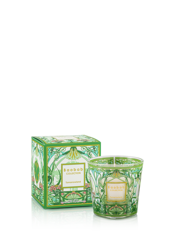 My First Baobab Tomorrowland