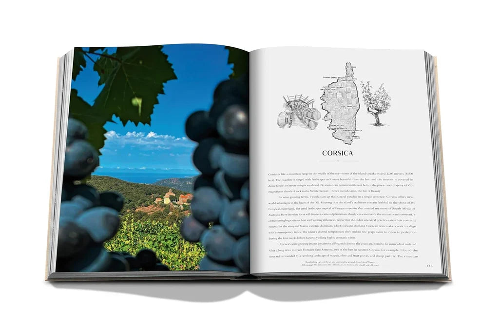 Wine & Travel France