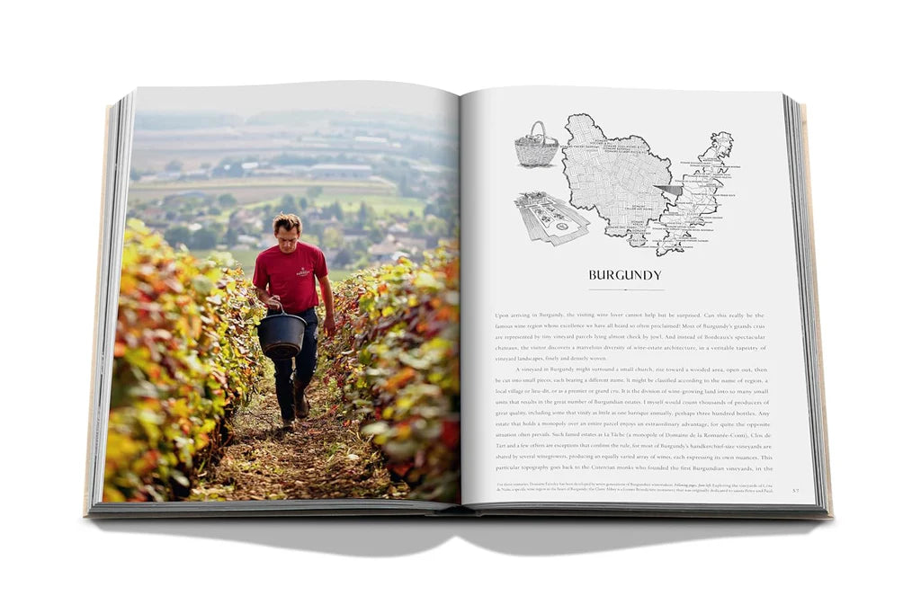 Wine & Travel France