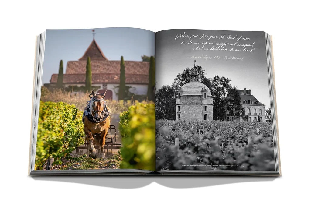Wine & Travel France