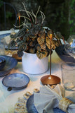 ZAFFERANO PINA PRO TABLE LAMP