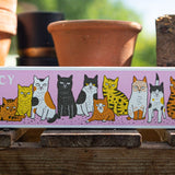 Fancy Cat Long Matches