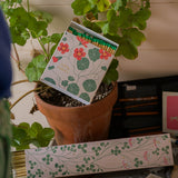 Lucky Clover Long Matches