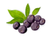 Acai Berry