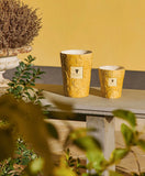 Baobab Paz Dove
